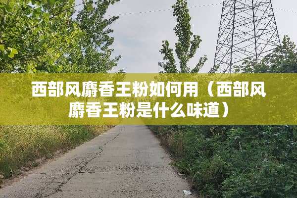 西部风麝香王粉如何用（西部风麝香王粉是什么味道）