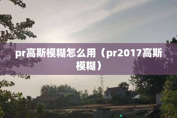 pr高斯模糊怎么用（pr2017高斯模糊）