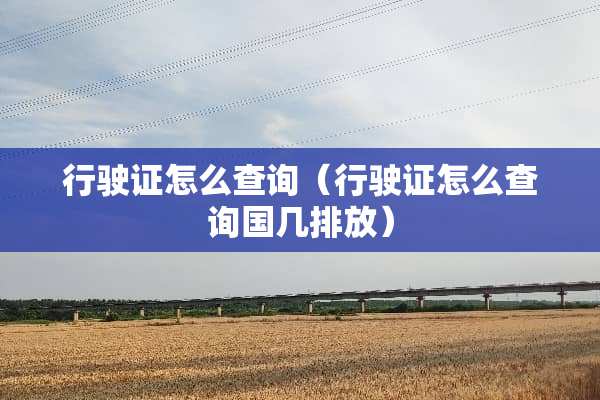 行驶证怎么查询（行驶证怎么查询国几排放）
