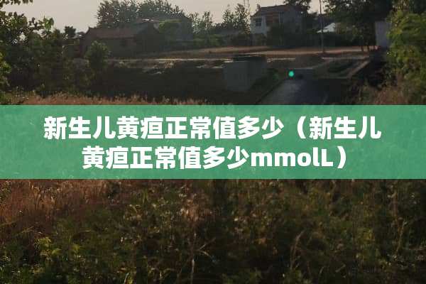 新生儿黄疸正常值多少（新生儿黄疸正常值多少mmolL）