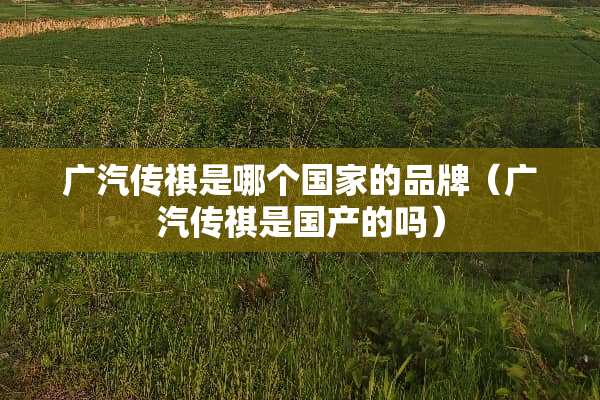 广汽传祺是哪个国家的品牌（广汽传祺是国产的吗）