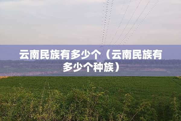 云南民族有多少个（云南民族有多少个种族）