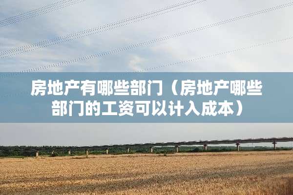 房地产有哪些部门（房地产哪些部门的工资可以计入成本）