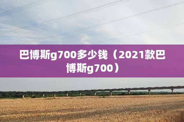 巴博斯g700多少钱（2021款巴博斯g700）
