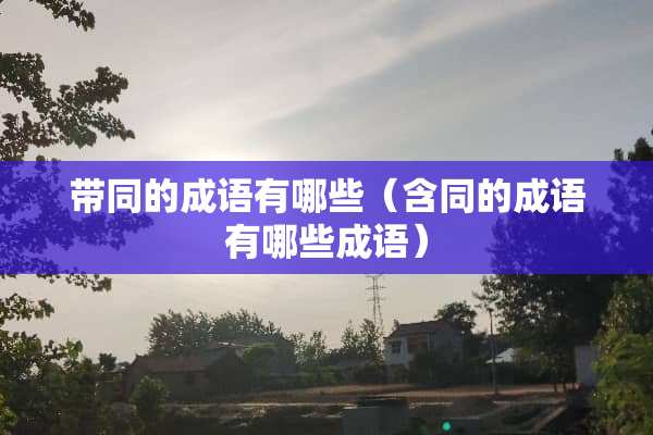带同的成语有哪些（含同的成语有哪些成语）
