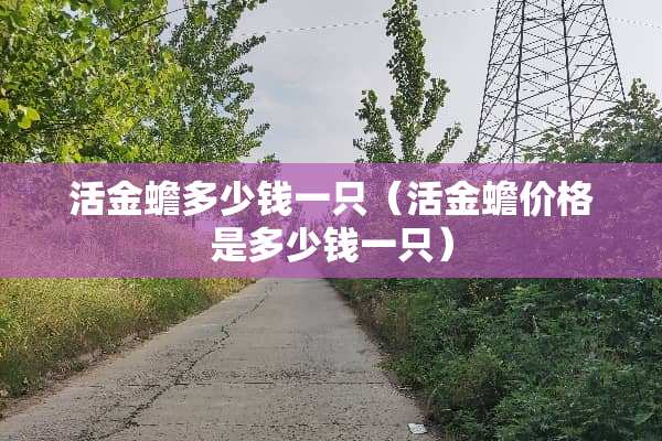 活金蟾多少钱一只（活金蟾价格是多少钱一只）