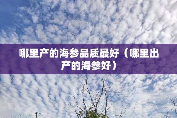 哪里产的海参品质最好（哪里出产的海参好）