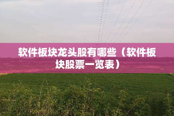 软件板块龙头股有哪些（软件板块股票一览表）
