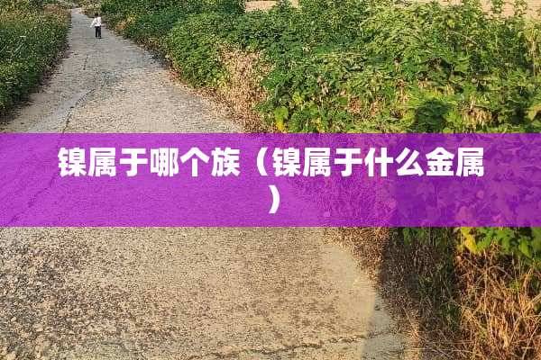 镍属于哪个族（镍属于什么金属）