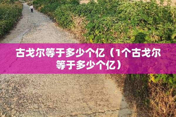 古戈尔等于多少个亿（1个古戈尔等于多少个亿）