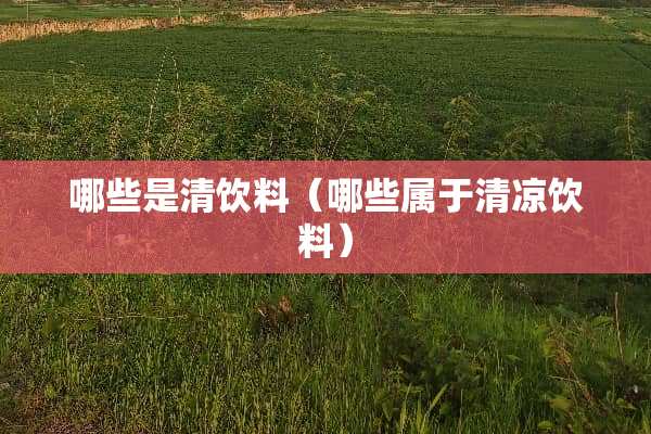 哪些是清饮料（哪些属于清凉饮料）