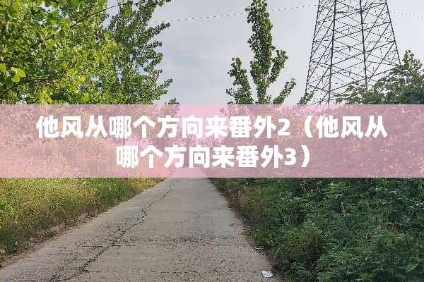 他风从哪个方向来番外2（他风从哪个方向来番外3）