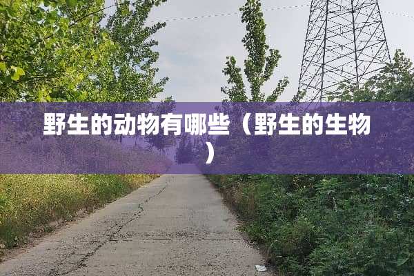 野生的动物有哪些（野生的生物）