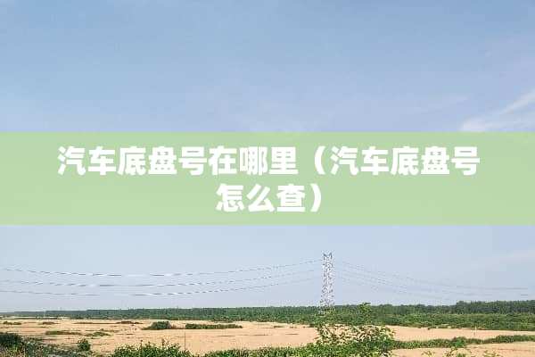 汽车底盘号在哪里（汽车底盘号怎么查）