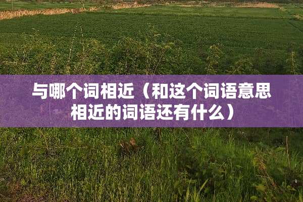 与哪个词相近（和这个词语意思相近的词语还有什么）
