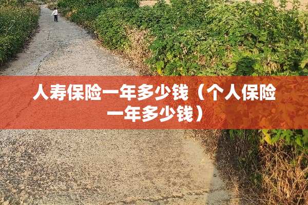 人寿保险一年多少钱（个人保险一年多少钱）