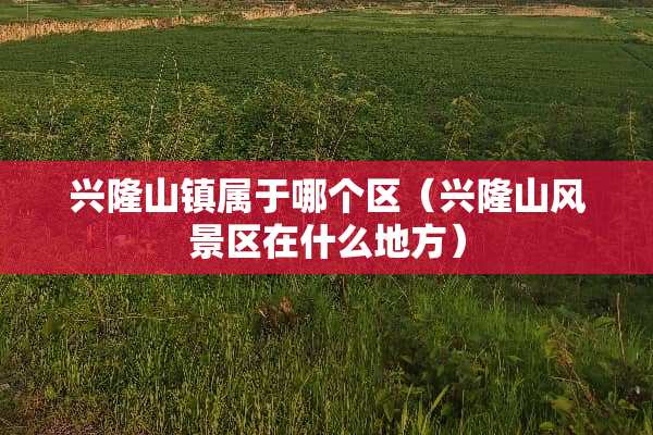 兴隆山镇属于哪个区（兴隆山风景区在什么地方）