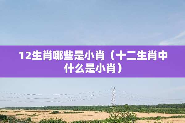 12生肖哪些是小肖（十二生肖中什么是小肖）