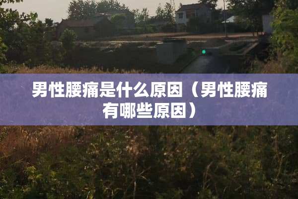 男性腰痛是什么原因（男性腰痛有哪些原因）