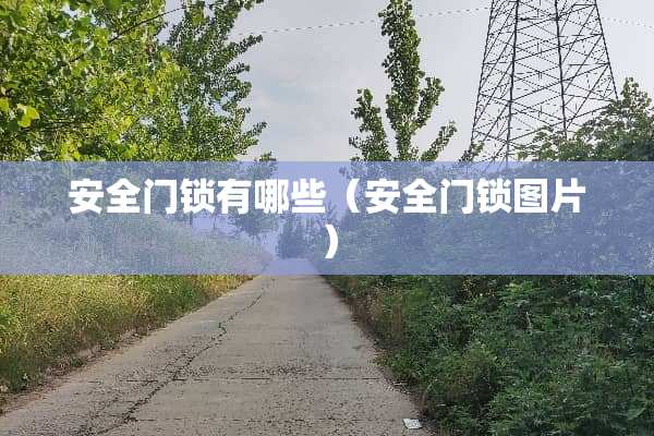 安全门锁有哪些（安全门锁图片）