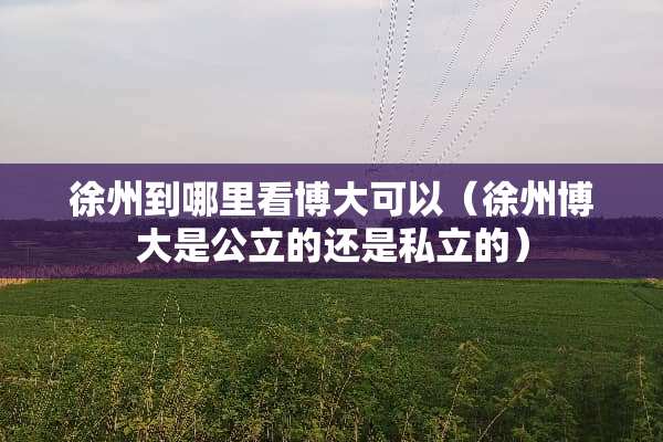 徐州到哪里看博大可以（徐州博大是公立的还是私立的）