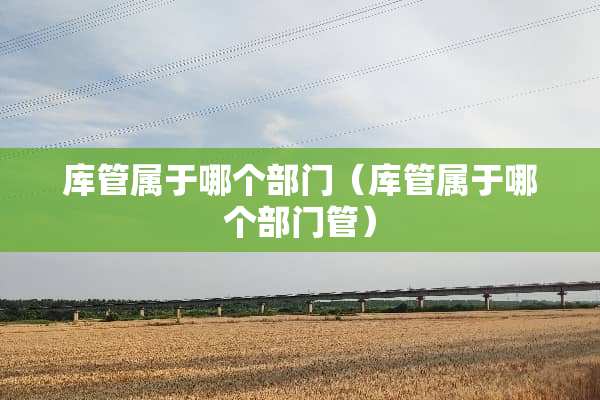 库管属于哪个部门（库管属于哪个部门管）