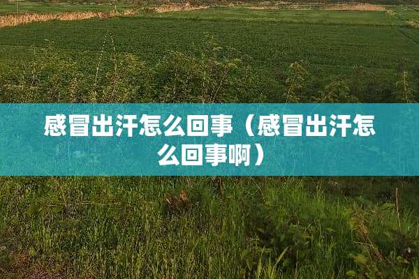 感冒出汗怎么回事（感冒出汗怎么回事啊）