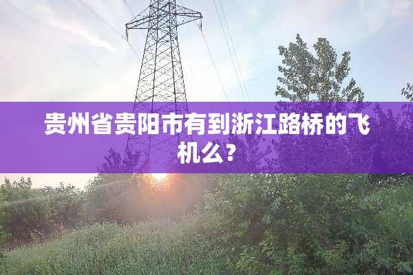贵州省贵阳市有到浙江路桥的飞机么？