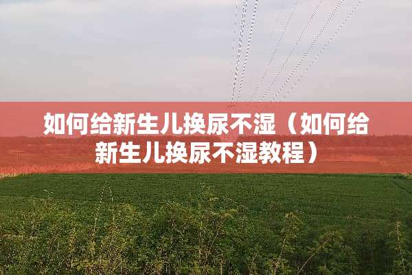 如何给新生儿换尿不湿（如何给新生儿换尿不湿教程）