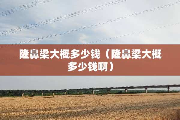 隆鼻梁大概多少钱（隆鼻梁大概多少钱啊）
