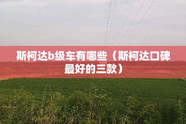 斯柯达b级车有哪些（斯柯达口碑最好的三款）