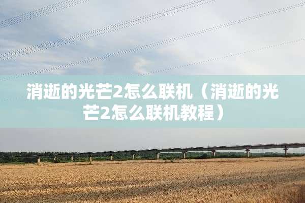 消逝的光芒2怎么联机（消逝的光芒2怎么联机教程）