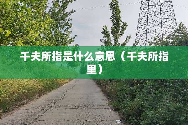 千夫所指是什么意思（千夫所指里）