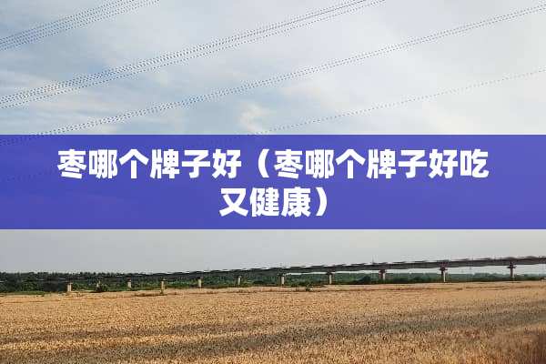 枣哪个牌子好（枣哪个牌子好吃又健康）