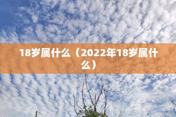 18岁属什么（2022年18岁属什么）