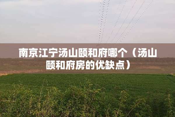 南京江宁汤山颐和府哪个（汤山颐和府房的优缺点）