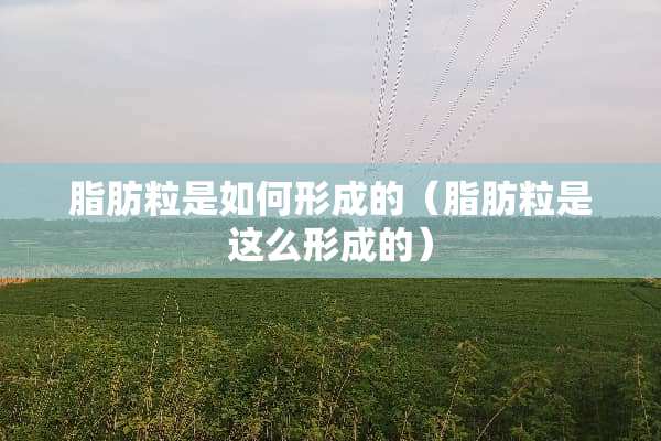 脂肪粒是如何形成的（脂肪粒是这么形成的）