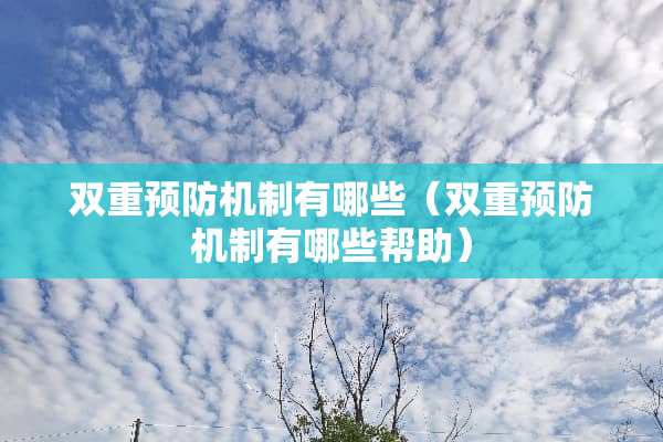 双重预防机制有哪些（双重预防机制有哪些帮助）