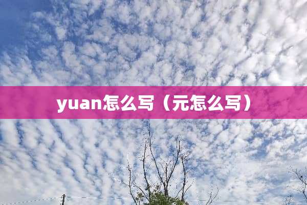 yuan怎么写（元怎么写）