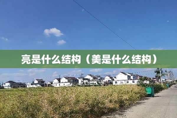 亮是什么结构（美是什么结构）