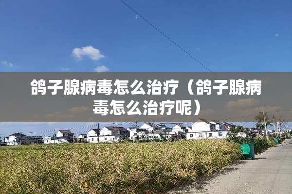鸽子腺**怎么治疗（鸽子腺**怎么治疗呢）