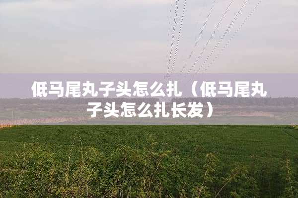 低马尾丸子头怎么扎（低马尾丸子头怎么扎长发）