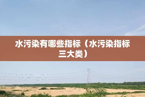 水污染有哪些指标（水污染指标三大类）