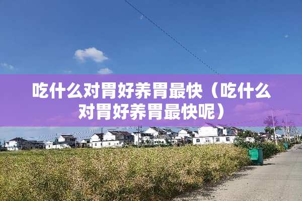 吃什么对胃好养胃最快（吃什么对胃好养胃最快呢）