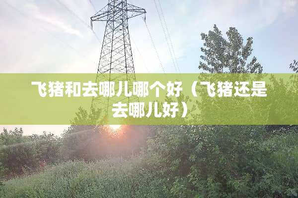 飞猪和去哪儿哪个好（飞猪还是去哪儿好）