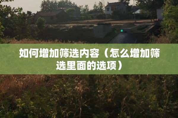 如何增加筛选内容（怎么增加筛选里面的选项）