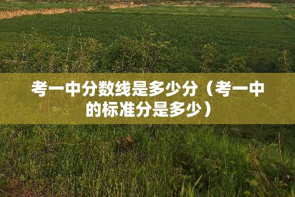 考一中分数线是多少分（考一中的标准分是多少）