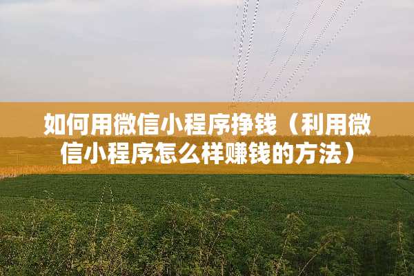 如何用微信小程序挣钱（利用微信小程序怎么样赚钱的方法）