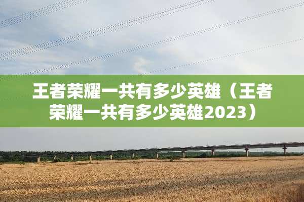 王者荣耀一共有多少英雄（王者荣耀一共有多少英雄2023）