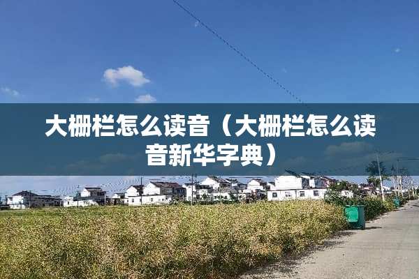 大栅栏怎么读音（大栅栏怎么读音新华字典）